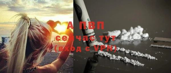 ешки Магас