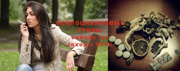 герыч Майский