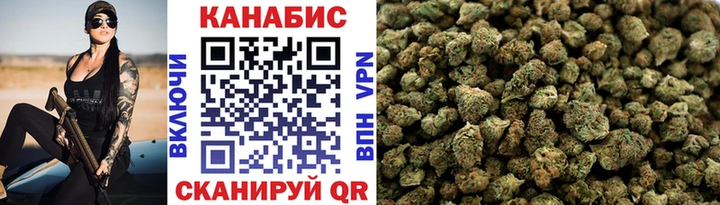 наркотики  Теберда  Канабис индика 